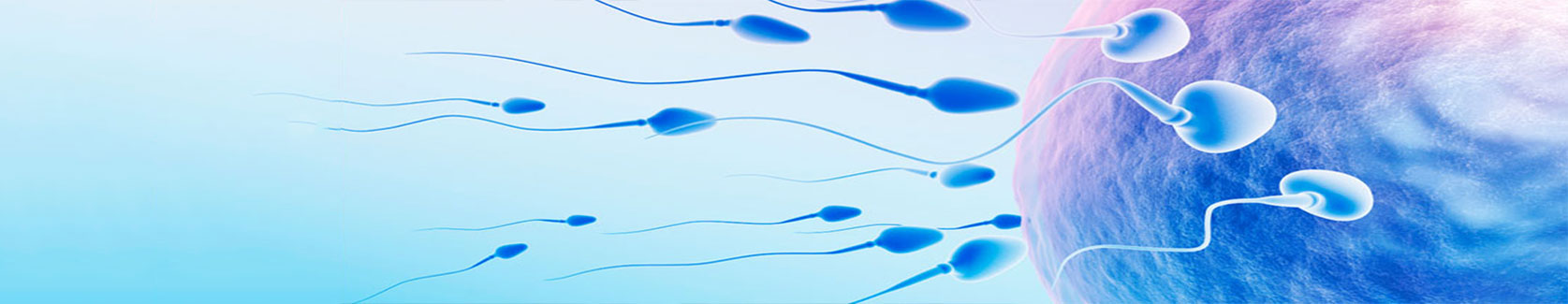 Intracytoplasmic Sperm Injection